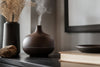 Expensive Diffusers Worth It: Quality vs. Budget